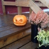 Glad Halloween!!