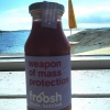 FROOSH  ☀️ #cafesjoboavidbadet #sol #hav #froosh