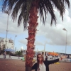 Bild från Södra Hamnplan Luleå av @swollenduck - I found a palm tree 