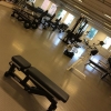 Bild från Hermelinen Träning & Fysioterapi av @zelolule - Gymmet är mitt, bara mitt..!! 