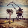 Bild från Södra strand av @seger_ - #södrastrand #luleå #palmer #pingviner