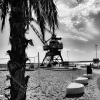 Bild från Södra strand av @_hjalpreklambyra - #södrastrand #södrahamn #södrahamnplan #hamn #citybeach #strand #beach #palm #palmer #kran #hamnkran #luleå #lulea #norrbotten #teamheja