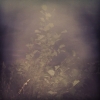 Bild från Storsjön av @hompus - #storsjön #tält #mystik 
Om vi bara försvinner !!