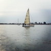 Bild från MSS - Malmö Segel Sällskap av @sandrability - Lite gråare på det stora #sjöhavet idag då det blir #kappsegling med #bana.