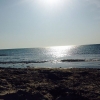 Bild från Skanörs Strand av @pawel661966 - Sun, beach
