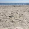 Bild av @ellikotten - Det blir en dag på stranden 