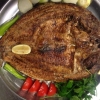 MAZGOOF  HAMOOR
100kr/kg
هامور مسكوف