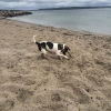 Bild från Finnasand av @onsalamalla - Hela stranden för oss själva 