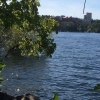 Bild från Långholmens Udde av @berndtarell - Långholmen....#stockholm #sommar #söder #bada #simma