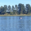 Bild från Skogssjön av @mariafinnved - Jag leker simcoach åt syrran. 