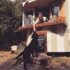 The cue is finally gone and it's time to breathe after a fun and busy summer. Lucky me my favourite costumer Mimmi still comes around with her big heart and good taste for watermelon. Kattis will hold the yoga class today at 18.00 if the rain keeps away. 