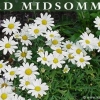 Glad Midsommar till er alla!
Öppet
Midsommarafton      9.00 - 20.00
Midsommardagen  11.00 - 21.00