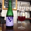 Svartvinbärslambic på dansken!