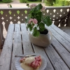 Nu serverar vi underbart god jordgubbspaj med vaniljsås! 
Dagsfärska jordgubbar från Tillmans i Grangärde 
