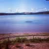 Bild från Dammsjön av @petramaria69 - En härlig dag på stranden #Dammsjön2015