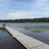 Bild från Dammsjön av @norlingmikael - Nu har badgästen kommit ! #dammsjön