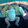 Bild från Dammsjön av @jennybackstrom81 - Sover gott på stranden :)