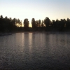 Bild från Solbergabadet av @christerhansson - #fog #dimma #sommar #summer #solbergabadet #sottern #sjö #lake