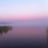 Bild från Solbergabadet av @christerhansson - #lake #sjö #sottern #solbergabadet #summer #sommar #fog #dimma