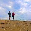 Bild från Steninge strand av @matsoretorp - 25k #beachrunning from #tylösand over #ringenäs, #haverdal, #särdal to #steninge
#iloverunning #runhappy #swedishsummer #westcoast #runinhalmstad