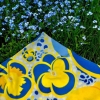 Härlig nationaldag till er önskar VintageHäxa! 