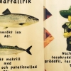 Så kom då äntligen materialet från vår PR avdelning