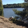 Bild av @madcza90 - Paddla kanot i Delsjön med @gustavmortberg! :D