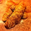 Levain