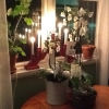 Till alla våra trevliga gäster, Gotland Hesselby jernvägsförening med sina flitiga eldsjälar och anställda, våra flitiga leverantörer av fantastiska råvaror.
Gott nytt år och ett hjärtligt tack för att ni var med och gjorde vårt första år hel underbart!
V