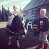 idag blev det en vagntur med underbara manilla <3 #sörbodarna #shettlandspony #fäbod #skärvången