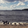 Bild av @pfriemswe - #occupythebeach