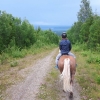 Going downhill
