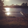 Bild av @zinnia_991 - Kvällsdopp