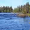 Fiske i Vojmån