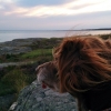 Bild från Åsa Havsbad - Sörvik / Vita Sand av @kristinahsvensson - Ingen idé att ändra på ett vinnande koncept. Hund + kvällspromenad + vatten + diverse växtlighet = dagens bild. #Halland #åsa #münsterländer