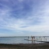 Bild från Tingstäde Bad av @wynja - Eftermiddagsbad i Tingstäde träsk. #tingstädeträsk #gotland #sommar