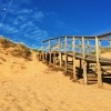 Bild från Tylösand Beach av @natalyduyko - Great beach colors: blue skies & yellow sand.