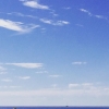 Bild från Tylösand Beach av @mrsosadolor - The beach 