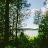 Bild av @thingleaf - Vallentunasjön genom träden.