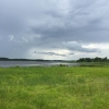 Bild från Wik slott av @moongold12 - #green #clouds #view #lake #birds #blue Wik strandäng, med fågelfauna som tofsvipa och skäggdopping, betet har återupptagits efter restauration med fräsning av bladvass☔️☁️