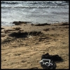 Bild från Vilshärads Strand av @mariabw61 - #vilshäradsstrand#1a dopp!