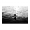 Bild från Meybobadet, Vristulven av @matthewias - Evening swim.

#sommar #vristulven #vsco #mastinlabs #portrait #kids #childhoodunplugged #summer #littleandbrave #blackandwhite #beyondthewanderlust