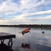 Bild från Västersjön av @perro_nova - Det bästa med sommaren är att få bada o hoppa från bryggan☀️ ~~~~~~~~~~~~~~~~~~~~~~~~~~~~~~~ The best thing about summer is to go swimming and jump from the pier☀️ #perronova #perrodeaguaespanol #perroklubben