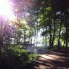 Bild från Ågelsjön av @carina.kausmann - I#kväll blev det ett dopp i det #blå ca 22 grader varmt.#juli. Here we are going to the lake for a bath in the evening. #sol #träd #sun #tree. #meranorrk