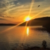 Bild från Ågelsjön av @sweiva73 - Superb evening ends this wonderful weekend, now I'm ready for a week at work before two weeks holiday:) #sun #sunset #sky #water #lake #bird #view #summer #evening #nature #solnedgång #sommar #vatten #natur #fågel #himmel
