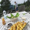 Bild av @catbje - Grillmys på landet! #årstahavsbad