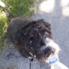 Bild från Åsasjön av @lundbergcarolina - #Promenad# vatten# Sally#varmt