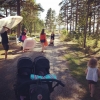 Bild från Brännäset I Sörmjöle av @krickefred - Mot stranden! #truppförflyttning #närflykt