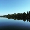 Bild från Varpan av @ihellkvist - Morgondopp check! #annsofipettersson #juliafreye #morgondopp