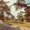 Vacker natur nära Visby, camping med tält & husvagn